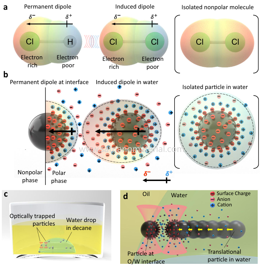 nanoparticles aggregate