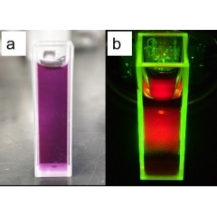 Dispersão de pontos quânticos de carbono com fluorescência vermelha solúvel em água